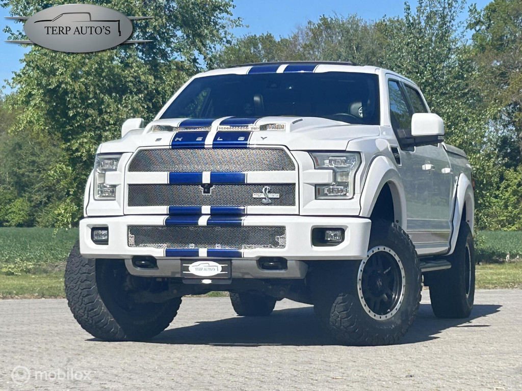 Ford F-150 USA Shelby 51688473-0.jpg | Terp Auto’s