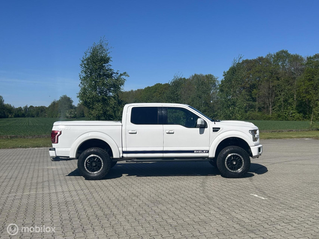Ford F-150 USA Shelby 51688473-0.jpg | Terp Auto’s