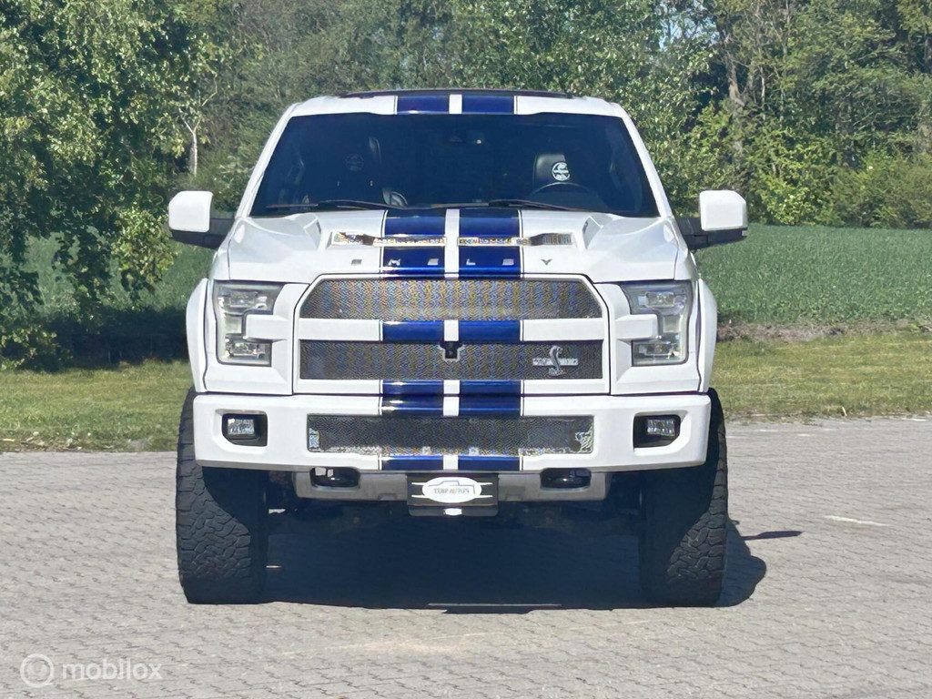 Ford F-150 USA Shelby 51688473-0.jpg | Terp Auto’s