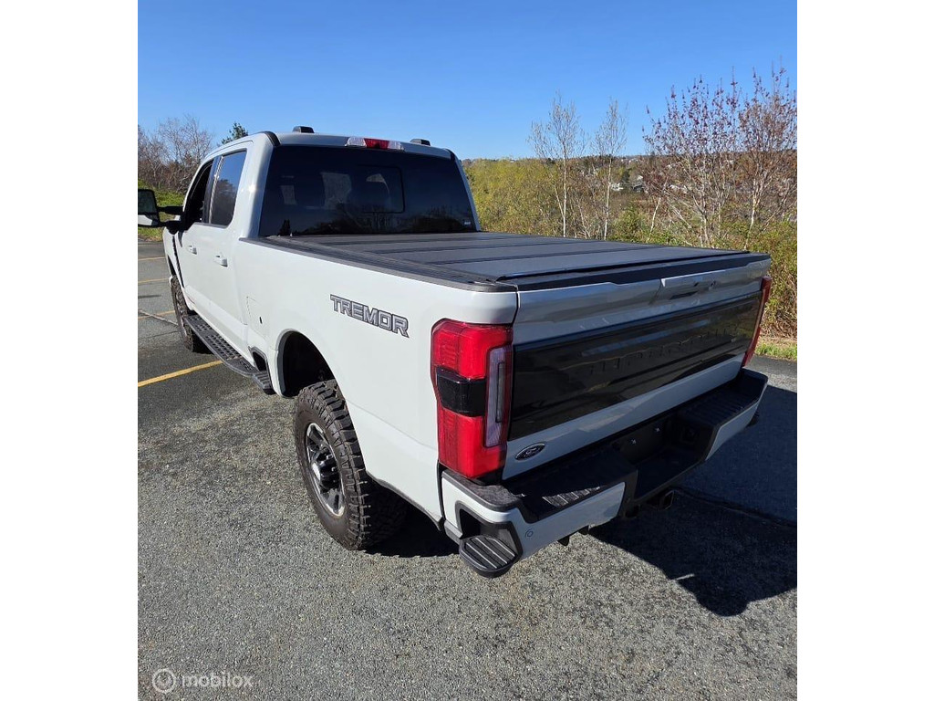 Ford  USA F250 6.7 V8 Platinum Tremor 53247055-0.jpg | Terp Auto’s