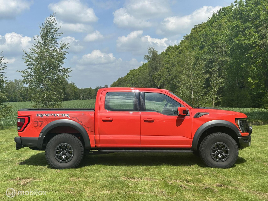 Ford F-150 USA Raptor 53638220-0.jpg | Terp Auto’s