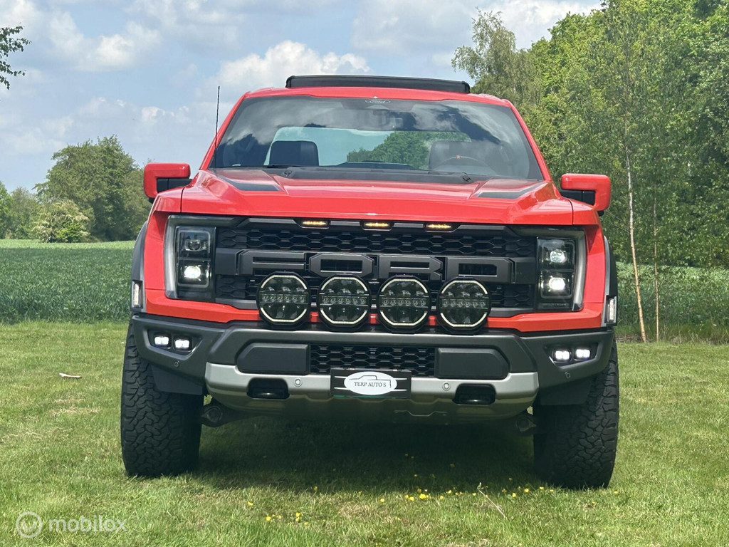 Ford F-150 USA Raptor 53638220-0.jpg | Terp Auto’s