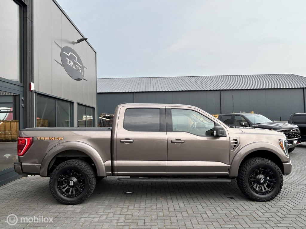 Ford F-150 USA 3.5 V6 Ecoboost SuperCrew 53911448-0.jpg | Terp Auto’s